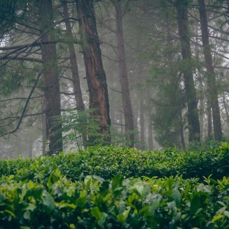 Himalaya Mount View Resort Kausani Kültér fotó